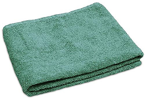 Lanudo® Luxus Handtuch 600g/m² Pure Line 50x100 cm mit Bordüre.100% feinste Frottier Baumwolle in höchster Qualität, Farbe:Mint-Grün