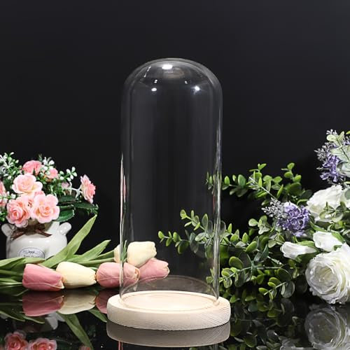 TOLIDA Glaskuppel mit Natürlichen Holzsockel Platten-Braun 12,5x26CM Robust Dekoration-für Rose Aromatherapie Kerzenständer Lichtketten-als Geschenk-für Ehefrau-im Hochzeit Valentinstag Weihnacht