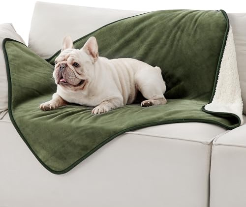 LE SURE Coperta Impermeabile per Ghiens Grandi Dimensioni - Coperta Lavabile per Cani 100x80 cm, Protezione per Divano per Cani in Pile Sherpa, Coperta per Gatti Morbida e Soffice, Verde oliva