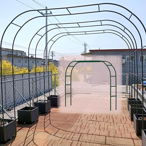 Arche de jardin en métal robuste pour plantes grimpantes, roses et fruits, résistante aux intempéries, tonnelle de mariage 1,8 m, 2,4 m, 3 m, 3,5 m