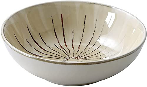 HEYDGBBZ Cuenco de sopa de cerámica. Juego de 2 cuencos de ramen pintados a mano con aspecto rústico de 7,5 pulgadas, cuenco grande for servir, plato hondo for mezclar frutas, fideos, ensaladas,