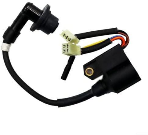 HEIBTENY Bobine d'allumage pour Yamaha EF2000iS pour onduleur pour générateur, compatible avec les modèles 1600 2000 pour watts