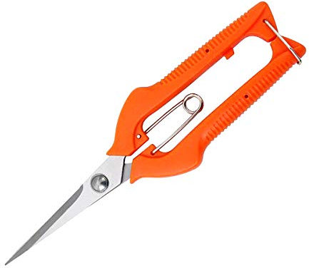 KATUR Ciseaux d'élagage professionnels pour rosiers de jardin, lames droites en acier inoxydable pour arrangement floral, coupe de plantes, récolte de fruits (longueur de lame de 65 mm)