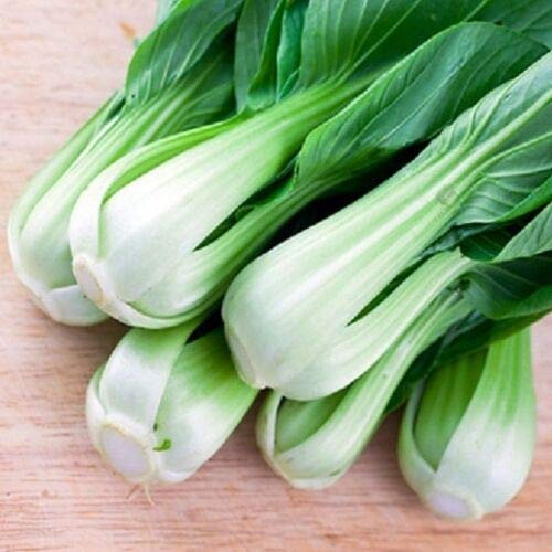1200 Seeds of Vegetable Pak Choi Canton Dwarf White