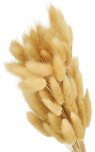 PATIKIL 15.7 Pulgadas Colas de Conejo Flores Secas, 80 Piezas Decoración de Hierba de Pampas Cola de Conejo Hierba de Pampas Natural a Granel Esponjosa Falsa Hierba de Pampas Seca , Beige