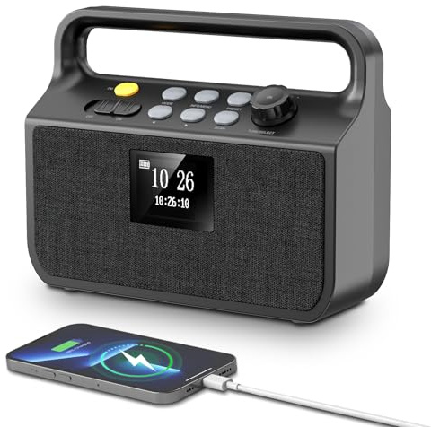 Radio Bluetooth 20000mAh con Funzione di Carica Smartphone, DAB/FM con Scheda TF, Ingresso AUX, Schermo TFT, Funzione Sveglia, Radio Portatile D'emergenza per Campeggio e Outdoor