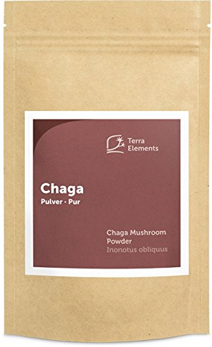 Terra Elements Bio Chaga Pulver, 100 g I Birkenpilz I 100% rein I Vegan I Rohkost