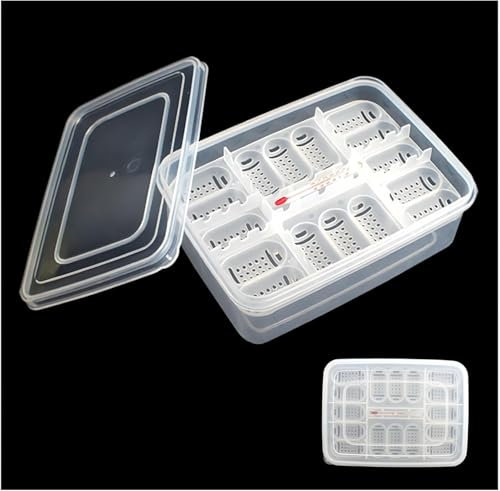 CAASFOOY Reptilien-Zuchtbox, 16 Gitter Brutkasten für Reptilien-Eier, transparente Brutbox für Reptilieneier - Inkubationsbox für die Entwicklung von Reptilieneiern, Brutkasten, Bruttablett