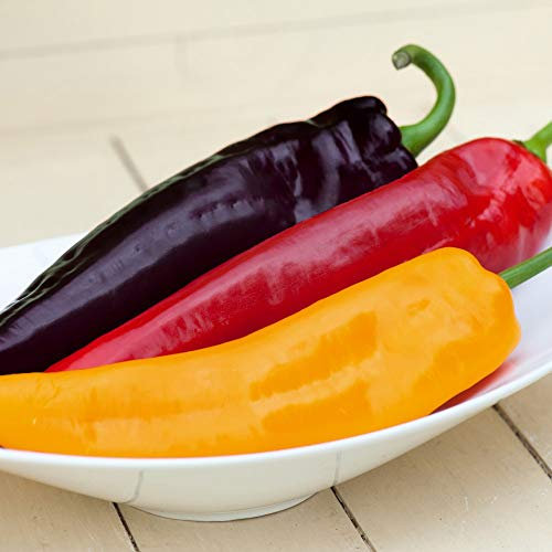 Sweet Pepper 'Tasty Mix All Season' Bell Pepper Half-Hardy Annual Vegetable Harvest Garden Plants Grow Your Own 1 x Seed Packet (5 Seeds) Sweet Pepper 'Tasty Mix All Season' by Thompson and Morgan