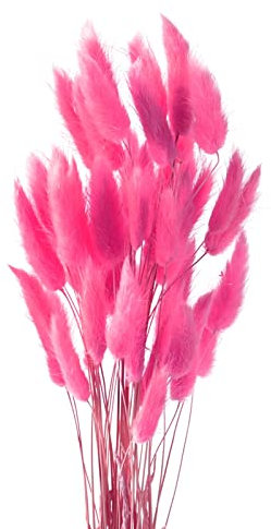 Diyxisk Erba Della Pampas,50 Pezzi Reed Grass,Fiori Secchi Decorativi,Piante Secche,Adatto per Vaso da Tavola per Matrimoni Accessori per Decorazioni per la Casa Soggiorno（Rosso rosa intenso）