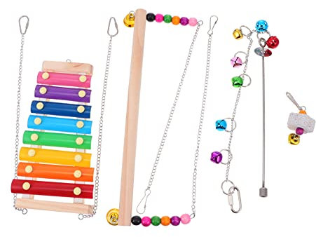 FONDOTIN 1set Giocattoli Per Polli Altalena Percorso Con Xilofono e Supporto Per Pollame Attività Per Animali Domestici Gioco e Divertimento Per Galline e Anatre