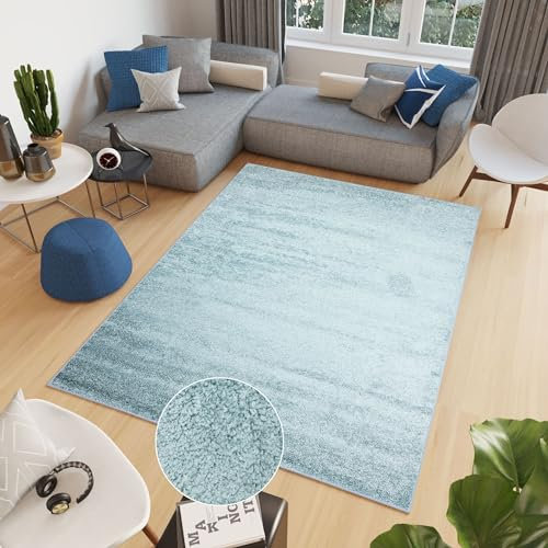 TAPISO Delhi Teppich Shaggy Hochflor Langfloorteppich Hellblau Einfarbig Wohnzimmer Schlafzimmer Modern Design ÖKOTEX 120 x 170 cm