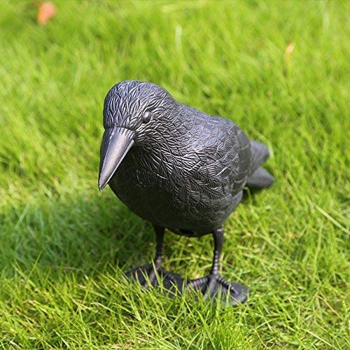 HHH Chasse® x1x6x 12Corsé floqué Corbeau Vie comme la Chasse Leurre Piège à Oiseaux avec Cheville et Jambes Larsen Rook pour Le tir ou la Chasse - 12 Decoys