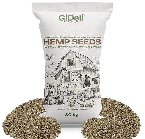 GiDeli Semillas de cáñamo de 30 kg sin pelar – Alimento para pájaros durante todo el año rico en proteínas – Alimento único – para aves silvestres, caballos, ganado, cerdos, aves de corral