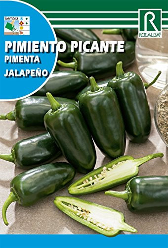 Semilla Pimiento Picante Jalapeño - Rocalba