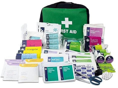 Lewis-Plast First Aid Kit Bag - 309 Piece Survival Kits - Safety Essentials for Travel Car Home Camping Work Hiking,Green