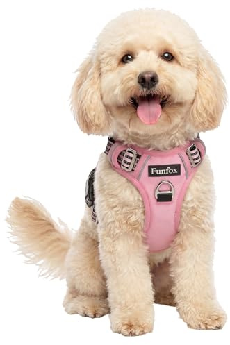 Funfox Dog Harness Small, No Pull Puppy Harness with Vertical Handle, 2 Leash Clips, Reflective Strips Night Walking, Anti Pull Adjustable Padded Pet Vest Size for Small Breed, Pink S