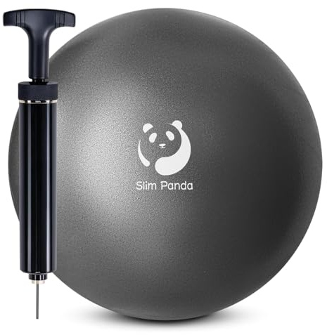 Slim Panda Ballon Pilates Petite,23 cm Anti-Slip Ballon de Gymnastique avec Pompe,Soft Yoga Ball Équilibre pour,Fitness,Entraînement à l'équilibre (Buse Anti-Fuite
