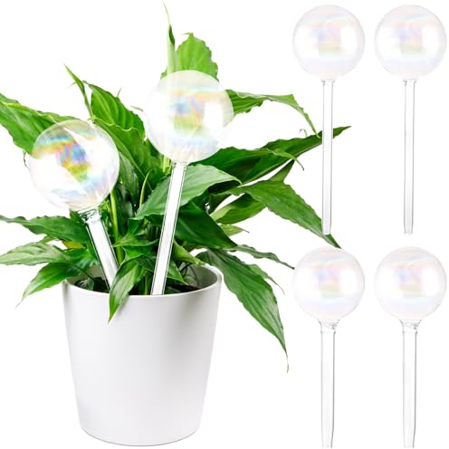 MIVIDE Set di 6 sfere di irrigazione trasparenti in vetro, dispenser di acqua per piante, sfere per piante in interni ed esterni (grandi e piccole)