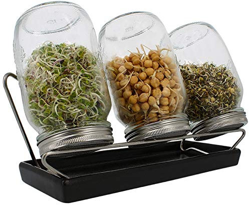 Eschenfelder Sprossengläser System III (anthrazit, 1000 ml), Glas