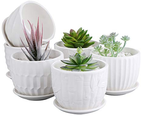 Brajttt Flower Pots, 4 Inch Cylinder Ceramic Plant Pots with Connected Saucer, Mini Ceramic Planters for Succulent and Little Snake Plants (6 Pack, White)