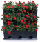 minigarden Vertical 1 Set für 9 Pflanzen, Neue Black ECO-Version, 100% aus recycelten Materialien hergestellt, erweiterbarer vertikaler Garten im Baukastensystem (Schwarz)