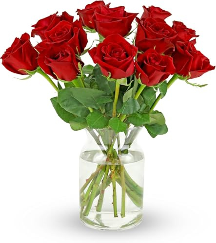 Benchmark Bouquets - Red Roses Bouquet - Fresh Flowers for Delivery - Real Roses - One Dozen Long Stem Roses - Romantic Gift Set - Valentines Day Gifts for Her (Glass Vase Included)