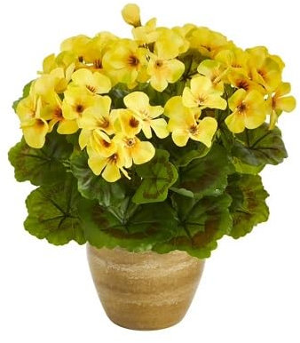 100 Stück gelbe Pelargonien-Blumensamen