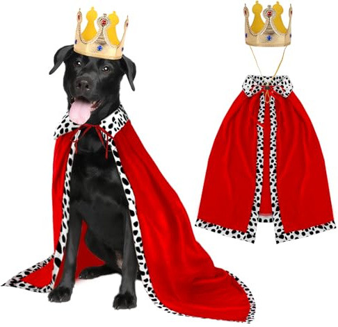 RANYPET Costume per cani, mantello e corona, per Halloween, per cani grandi e medi, per cani di taglia grande e media, costume da regina, cosplay, per Halloween, Natale, feste, abbigliamento