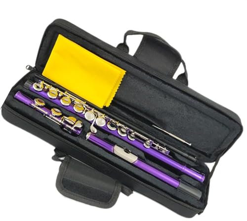 Professionelle Querflöte Lila 16 Löcher Geschlossene Löcher C-Tasten-Flöte, Vernickelte Kupfernickel-Flöte Mit E-Taste