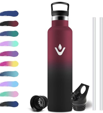 Gourde Isotherme 1L, Gourde Acier Inoxydable avec en Paille, Acier Inoxydable isolé sous Vide, Étanche et Réutilisable, sans BPA, Gourde Sport pour l'École, Bureau, Randonnée, Camping, Cyclisme