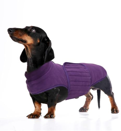 Babepet, pile morbido per cani, cappotto per bassotto, maglione in miniatura per bassotto, cappotto invernale riflettente per cani - resistente alle intemperie - viola - XS