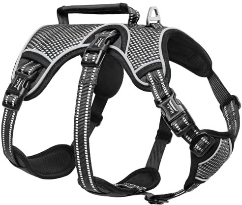HEELE Hundegeschirr, Ausbruchsicher, Schnalle im Halsbereich, Reflektierend, Brustgeschirr mit Robuster Griff, Panikgeschirr Hund, Hundegeschirr Stabilen Eindruck, Passt wie Angegossen, Schwarz, S
