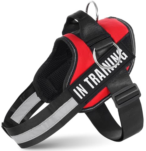 JUSTYEZI Harnais pour chien anti-traction, gilet d'assistance réglable avec boucle, gilet réfléchissant anti-étranglement pour animal domestique avec poignée de contrôle facile pour le dressage