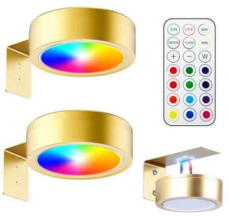TaimeiMao 2Pcs Luce per Quadri Senza Fili con Telecomando Magnetic Painting Light Lampada Applique Quadro Luci da Parete Interno a Batteria Luce Muro per Esposizione Pittura Vetrina (13 colori)
