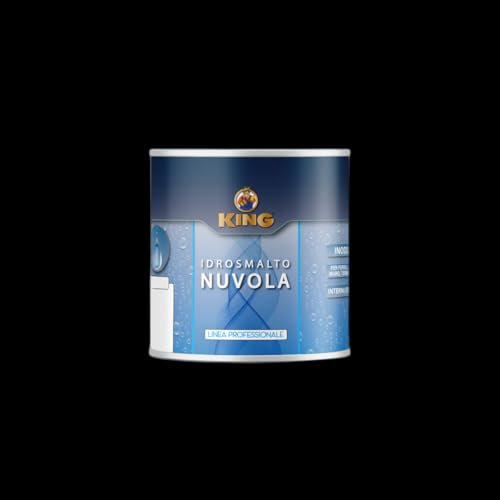 COLORIFICIO PARTENOPEO King NUVOLA, Smalto Acrilico all'acqua specifico per Termosifoni, finitura Brillante o Opaca e protezione dei Radiatori ad acqua (K125 TERMO OPACO, 100ml)