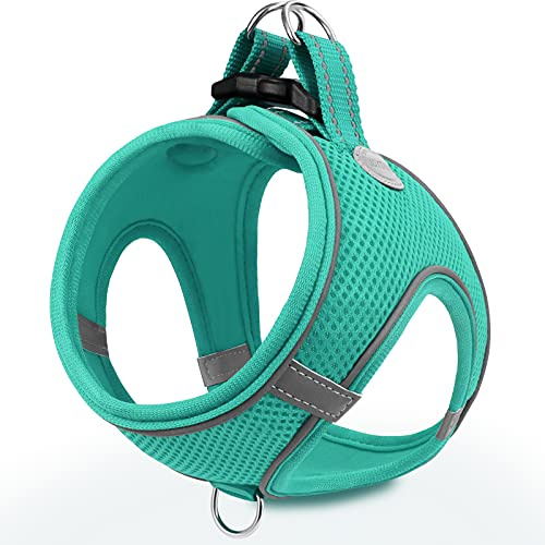 Joytale Step-in Dog Harness, Soft Breathable Mesh, Teal S