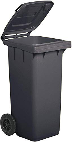 HORECA Bidone per Raccolta differenziata rifiuti 120 Lt, Colore Grigio | Contenitore 120 Litri per immondizia Uso Esterno | Pattumiera con Coperchio e rotelle nettezza Urbana