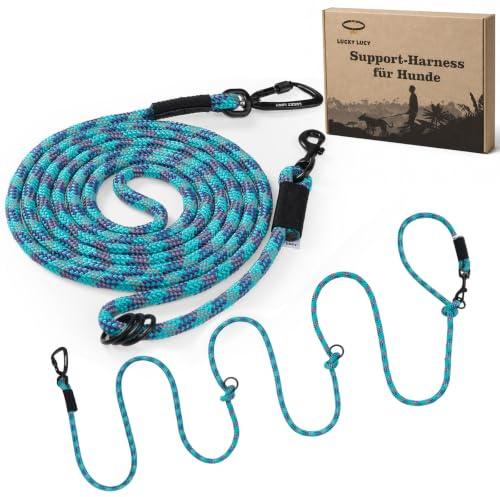 Hundeleine 3m reflektierend, komfortable Anti Zug Hundeleine für mittel & große Hunde, weiches Nylon mit gepolstertem Griff, Sicherheitskarabiner aus Aluminium, Trainings & Jogging Leine, Seeblau