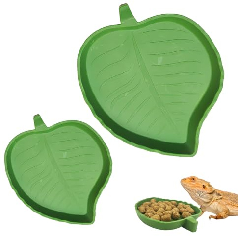 GNALIA Terrario Per Rettili 2 Pezzi, Ciotole Acqua E Cibo Verde Forma Mango, Ciotole Per Rettili Misura Grande E Piccola