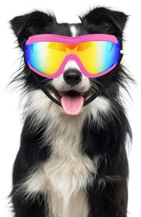 Hundebrille, Winddichte Hundebrille Augenschutz für Haustiere mit Verstellbarem Riemen für Mittelgroße und Große Hunde, Schützt Vor Wind, Sonne, Schnee, Regen, Nebel und Sand