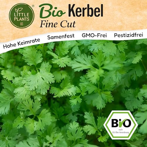 Little Plants BIO Kerbel Fine Cut Samen 300 Kerbelsamen Kräutersamen Samenfest für Kräutergarten Kräuter Samen Küchenkräuter für Küche, Balkon und Garten