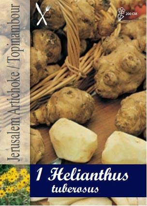 BULBI DA PIANTARE PER LA PRODUZIONE DI RADICI AROMATICHE AD USO GASTRONOMICO (Topinambur (Helianthus tuberosus))
