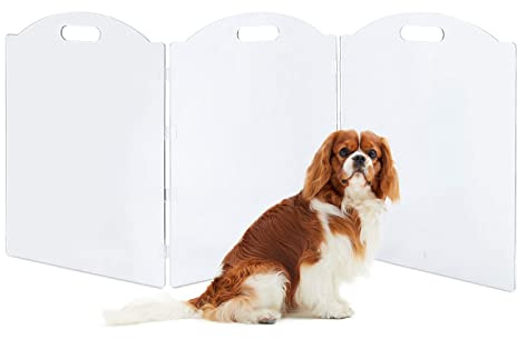 Clear Acrylic Freestanding Dog Gates for The House – Folding 3-Panel Pet Gates for Doorways, Indoor Stairs, and Hallways, Transparent Barrier for Dogs, Puppies, and Cats
