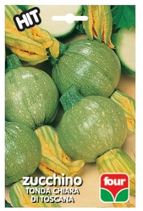 Bustina di Semi sementi per Ortaggi Professionali Hit, 1 Bustina (zucchino tonda chiara di toscana)