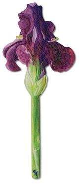 IF Marque-pages en forme de fleur - Iris peint