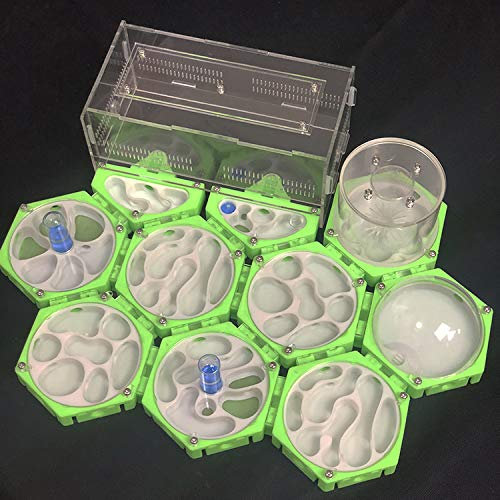 ANT GRAPE NEU 3D Print Formicarium Ameisenfarm Raumstation mit Feuchtigkeitsturm Unbegrenzte Erweiterung Ameisennest Pet Anthill Workshop (B)