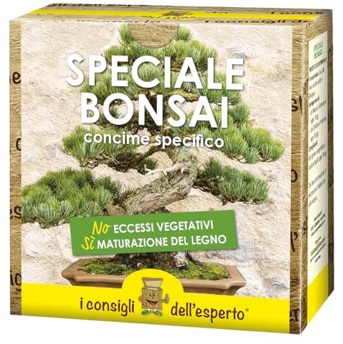 I Consigli Dell'Esperto Bonsai special