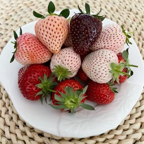 800 piezas semillas de fresa perenne - madroño fresas trepadoras resistentes, semillas saladas fresa, de bonsái jardín resistentes