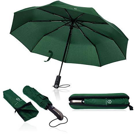 VON HEESEN Regenschirm sturmfest bis 140 km/h - inkl. Schirm-Tasche & Reise-Etui - Taschenschirm mit Auf-Zu-Automatik, klein, leicht & kompakt, Teflon-Beschichtung, windsicher, stabil (Grün)